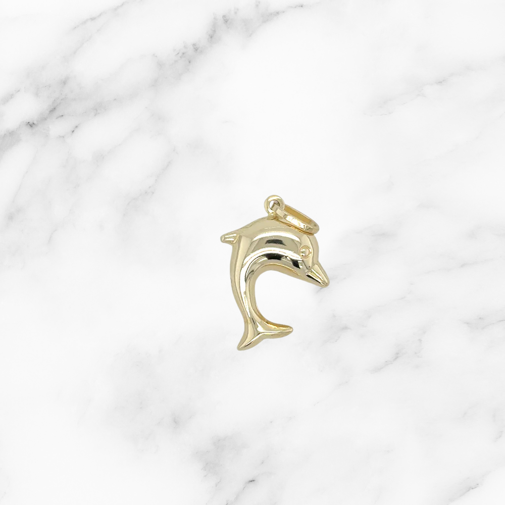 Dolphin Charm