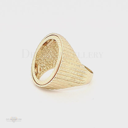 9ct Full Sovereign Mount Ring with solid brushed sides