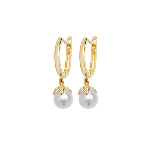 9Ct Gold Drops ER1134